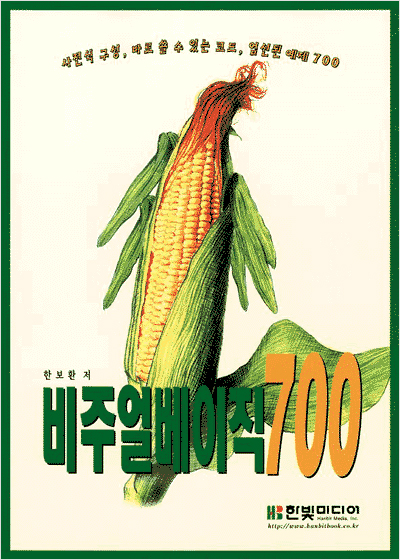 비주얼베이직 700
